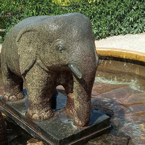 Kamienny słoń w ZOO w Pradze - czy warto odwiedzić ZOO w Pradze?